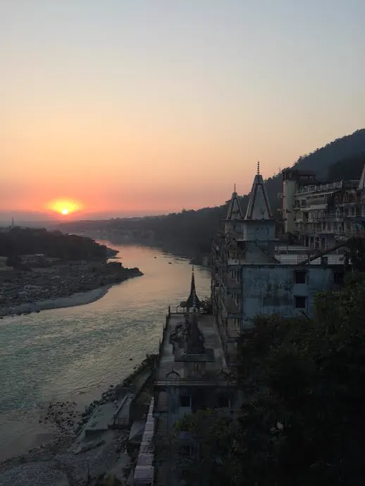 Arrived in India - photo from Aly Paws' travel journal