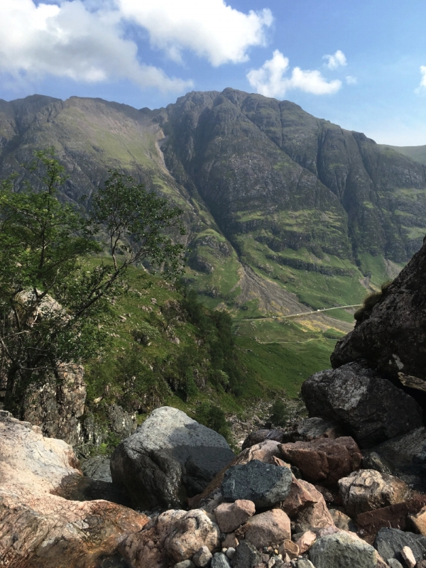 Photo from Aly Paws' travel journal