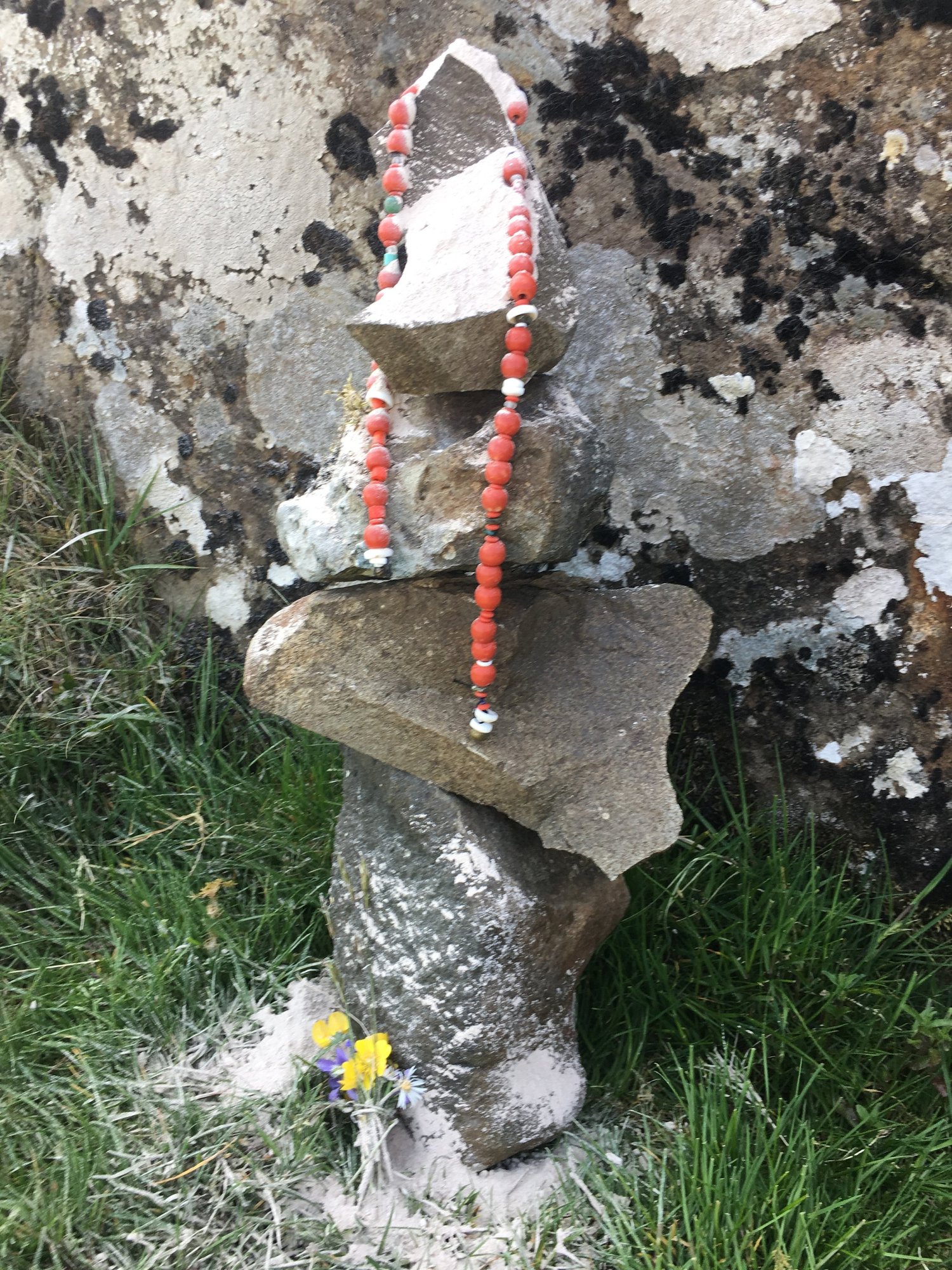 Photo from Aly Paws' travel journal