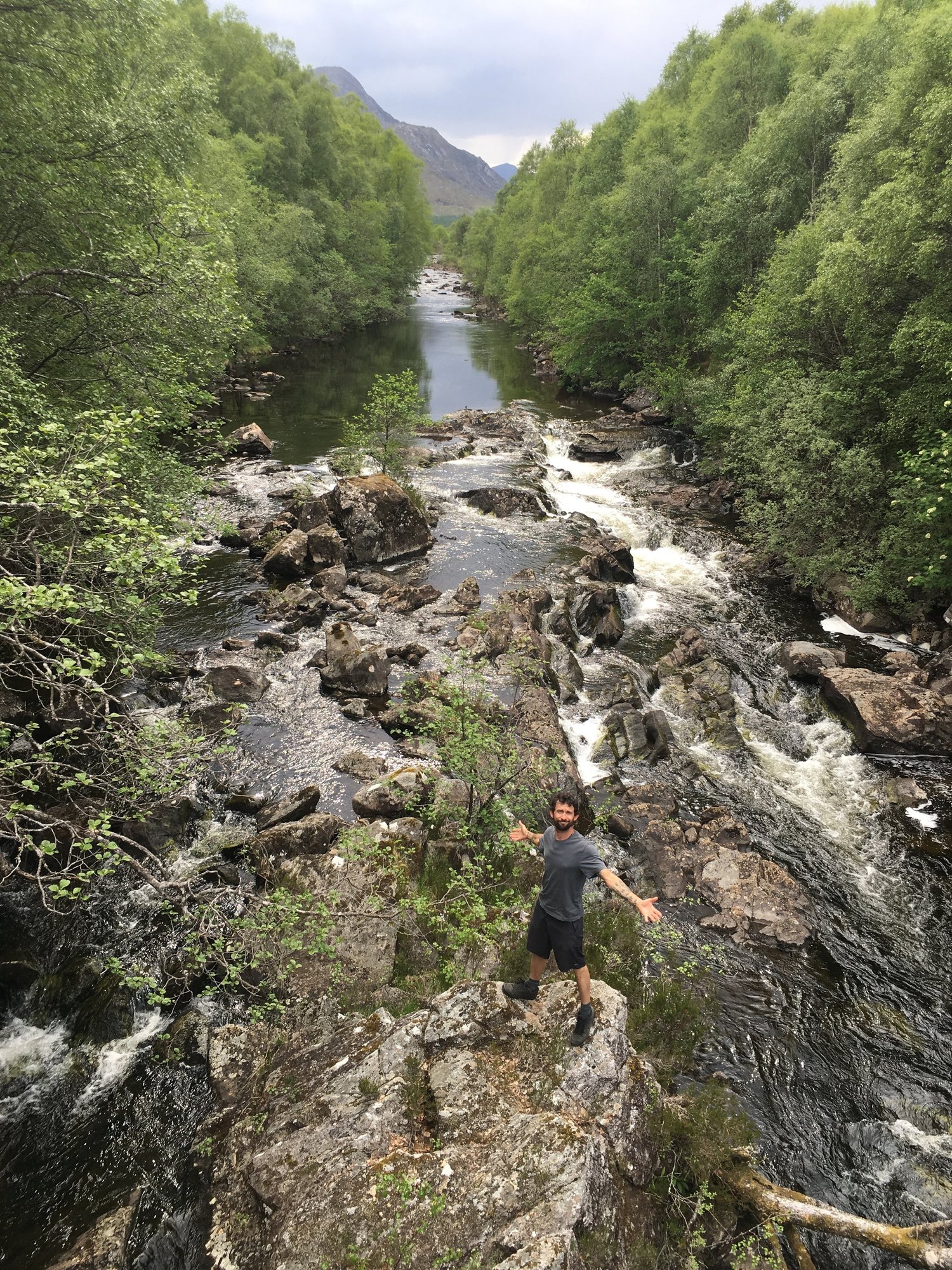 Photo from Aly Paws' travel journal
